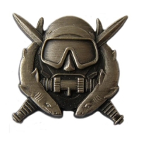 ODZNAKI US ARMY ODZNAKI US ARMY