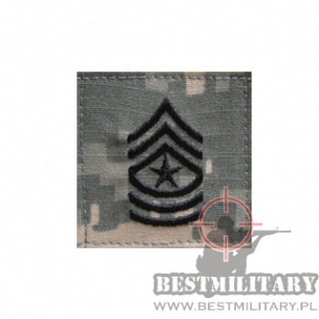 STOPIEŃ SERGEANT MAJOR US ARMY E-9 ACU/UCP velcro