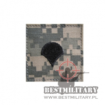 STOPIEŃ SPECIALIST US ARMY E-4 ACU/UCP velcro