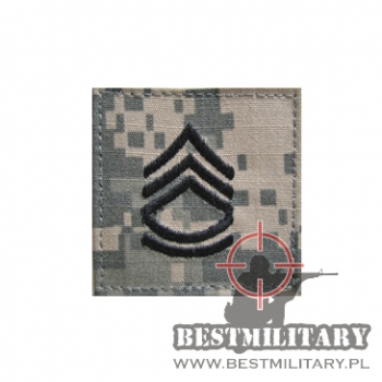 STOPIEŃ SERGEANT FIRST CLASS US ARMY E-7 ACU/UCP velcro