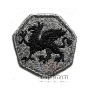 118th AIR BORNE DIVISION ACU/UCP velcro